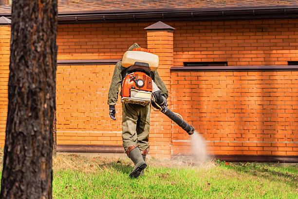 Trusted Termite Control service in Cottonwood, MN - Nex Pest Control